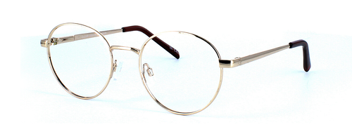 Collins in Gold prescription glasses front left view