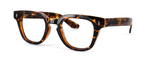 Edward Scotts - Heaney - Shiny Tortoise prescription glasses front left view