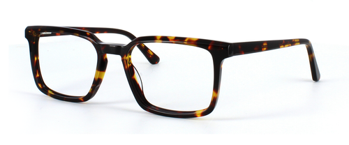 Guaro - Tortoise prescription glasses front left view