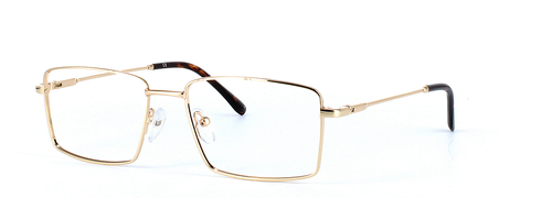 Catan in Gold prescription glasses front left view