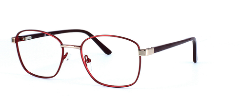 Ariel - Burgundy & Silver prescription glasses front left view