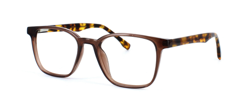 Hodson - Crystal Brown prescription glasses front left view